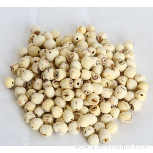 Natural High Quality Lotus Seed